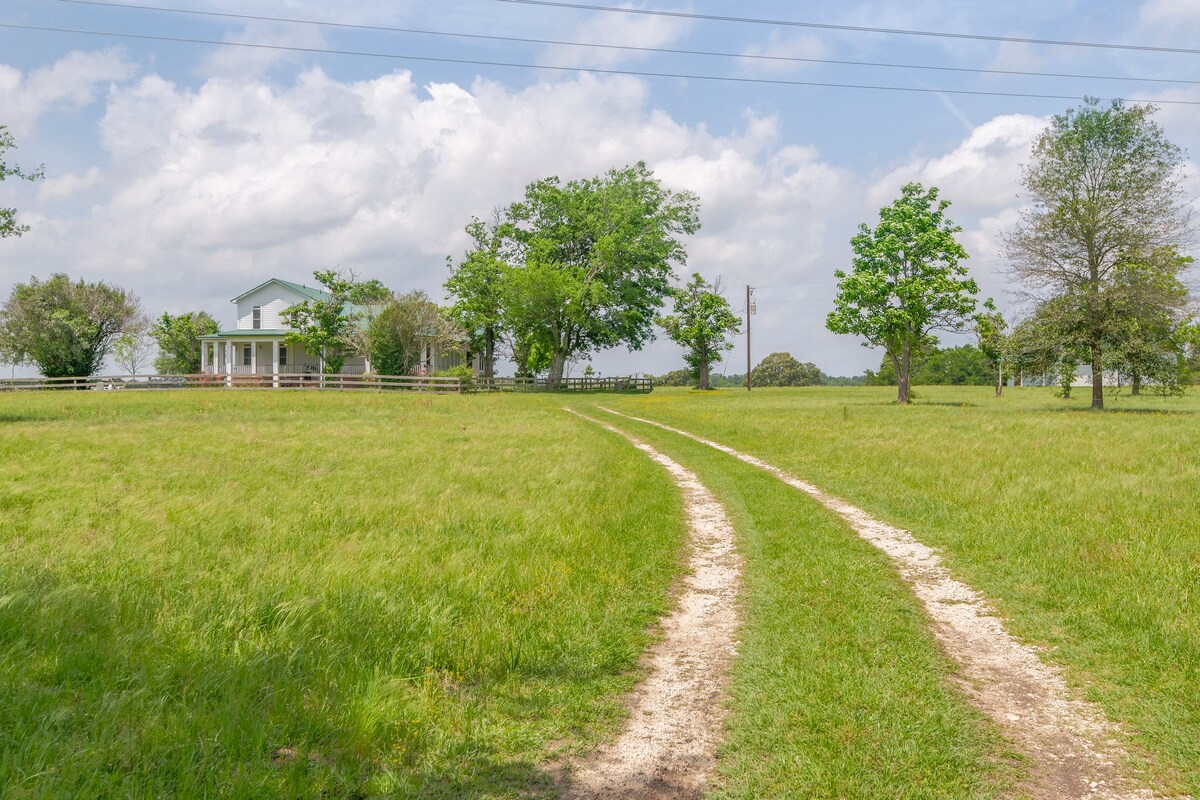 Fenced yard with garden and seating areas